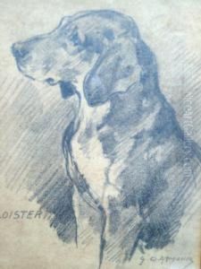 'gambler' And 'cloister', Studies Of Hounds by George Denholm Armour