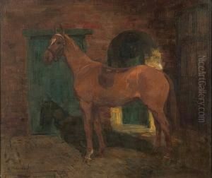 A Saddled Bay Hunter In A Yard