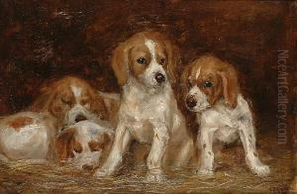 Four Puppies - view 1