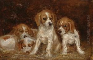 Four Puppies