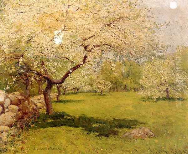 Apple Blossoms - view 1
