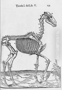 Ruini (carlo)
Anatomia Del Cavallo, Infermita Et Suoi Rimedii, 2 Vol. In One by Carlo Arpini