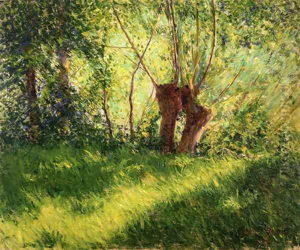 Willows - view 1