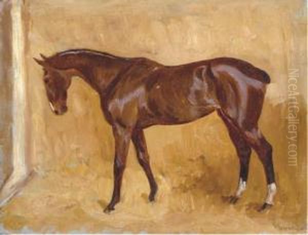 Cheval Dans Son Box - view 1