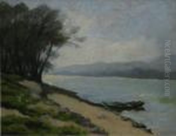 Dunareala Cazane - view 1