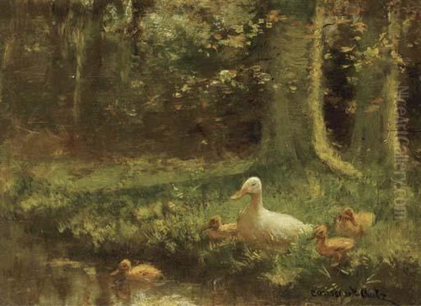 Duck And Ducklings On A Riverbank - view 1