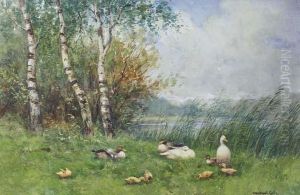Ducks And Ducklings On A River Bank