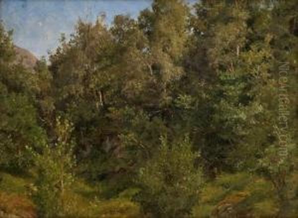 Study Of Trees - view 1