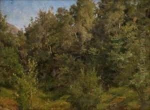 Study Of Trees by Anders Monsen Askevold
