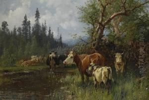 Sommarlandskap Med Boskap Sommarlandskap Med Boskap
