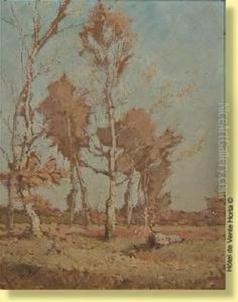 Les Bouleaux En Automne - view 1
