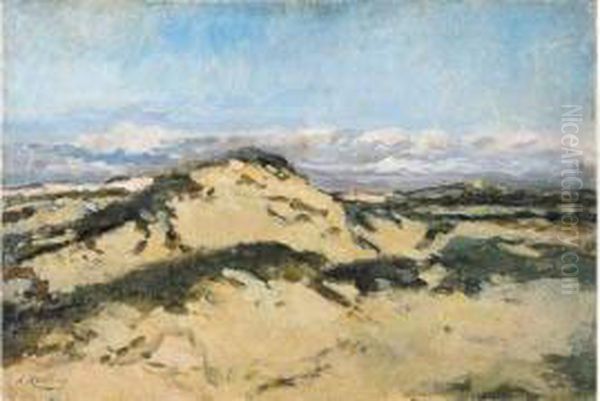 Duinen - Dunes - view 1