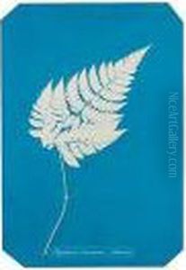 Palipodium Muscosum (jamaica) by Anna Atkins