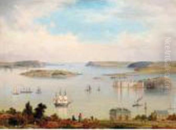 A View Of Cork Harbour - view 1