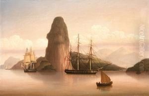 The Entrance To Rio De Janeiro, Brazil by George Mounsey Wheatley Atkinson