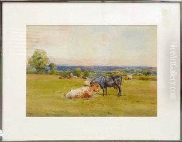 A Northumbrian Pasture - view 1