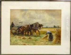 Cutting Corn
