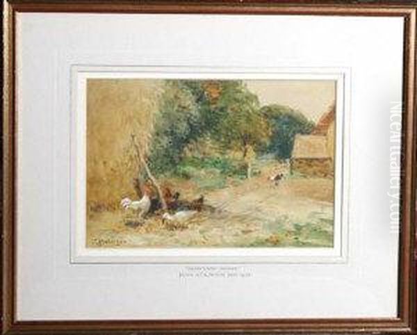 Farmyard Gossip - view 1