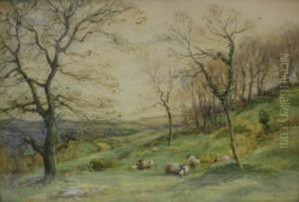 Sheep On A Wooded Hillside - view 1