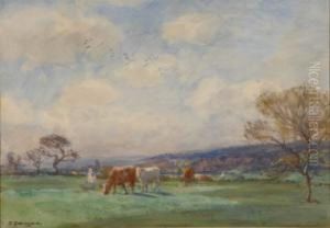 Yorkshire Landscape With Grazing Cattle