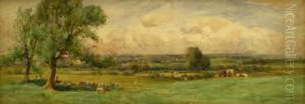 Cattle And Sheep Grazing - view 1