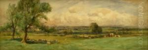 Cattle And Sheep Grazing
