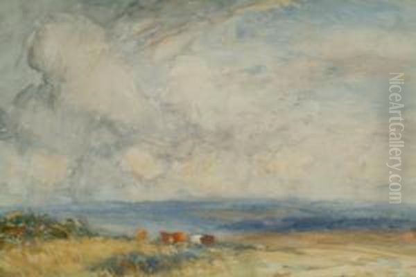 Grazing Cattle Above Runswick - view 1