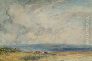 Grazing Cattle Above Runswick