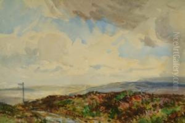 'the Finger - Post On The Moor - view 1