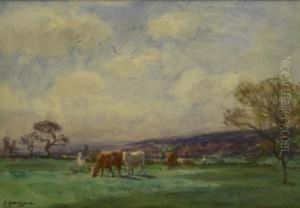 Spring Yorkshire