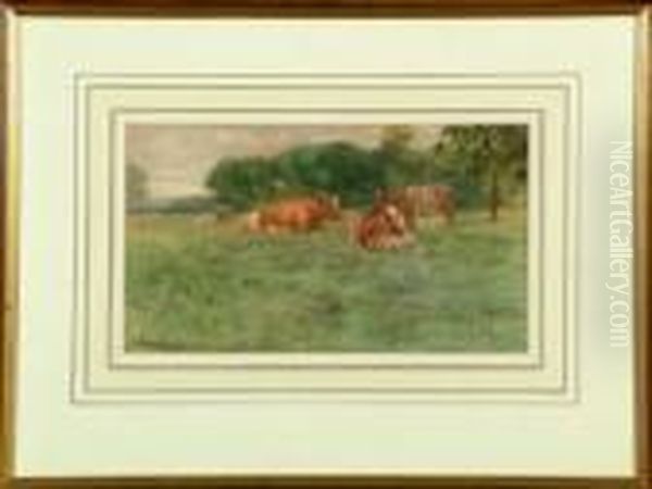 Cattle Resting In A Summer Meadow - view 1