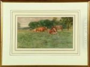 Cattle Resting In A Summer Meadow Cattle Resting In A Summer Meadow