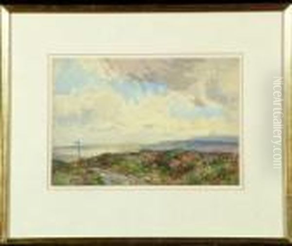 The Finger-post On The Moor, Yorkshire - view 1