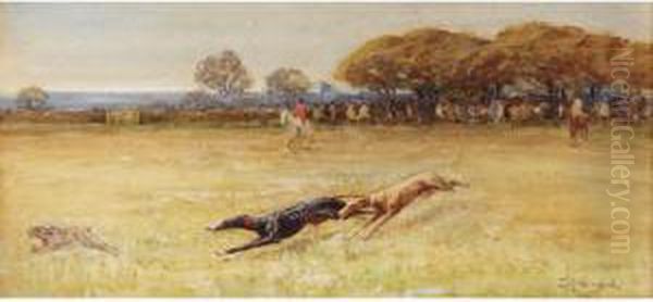 The Greyhound Race - view 1