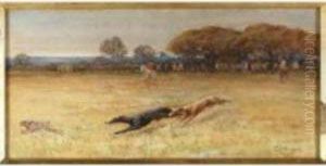 Coursing Coursing