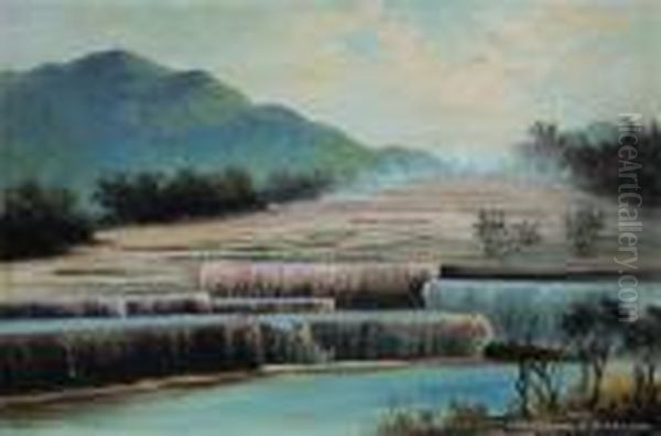 The Pink Terraces - view 1