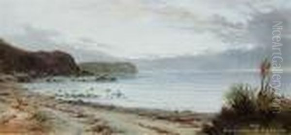 Coastal Scene - view 1