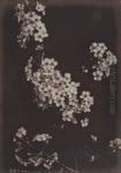 Untitled - view 1
