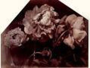 Etude De Pivoines, Vers 1865 by Charles Aubry