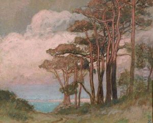 Foret De Pins Devant Les Falaises De Dieppe