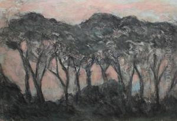 Trees - view 1