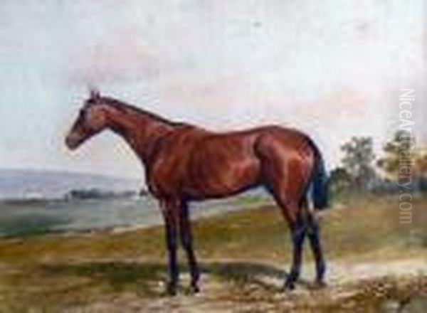 Cheval Bai Brun En Pieds, Tete A Droite - Cheval Bai En Pieds, Tetea Gauche - view 1