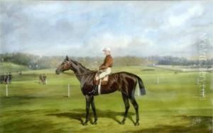Cheval De Course Avec Son Jockey. Grand Prix De Deauville