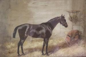 Cheval Dans L'ecurie by Jonny Audy