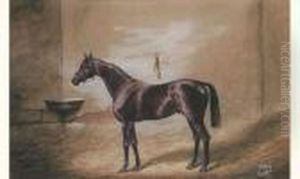 Cheval A L'ecurie