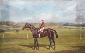 Bay Racing Horse With Jockey Up by Jonny Audy