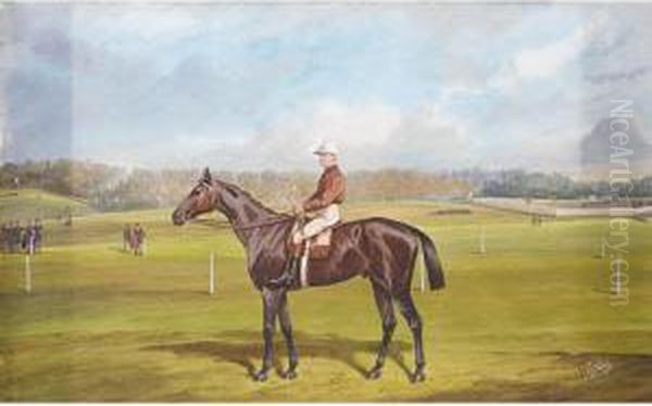 Bay Racehorse With Jockey Up - view 1