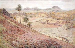 In the Auvergne