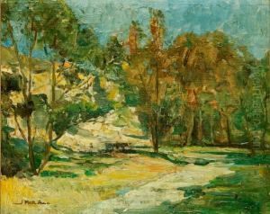Bush Scene