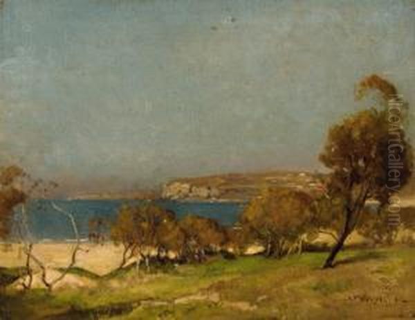 Summer, Dee Why - view 1
